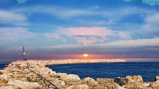 短视频对大脑的伤害有多大？